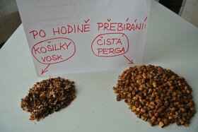 Pyl fermentovaný z plástů - Perga - Ambrosie. Ruční práce - 5