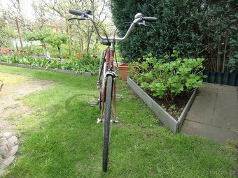 Pánské kolo Favorit - 5