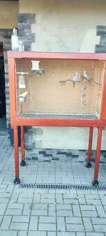 Prodám voliéru s papouškamá - 5