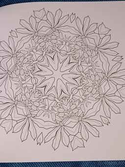 Omalovánky pro dospělé: Inspirativní a ............. - 5