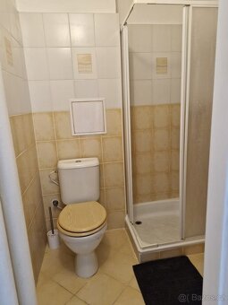 Pronajmu byt 1+1 v centu Pardubic. - 5