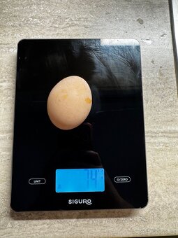 Domácí vajíčka - 5