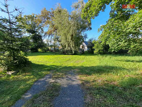Prodej pozemku zahrada 719 m², Město Albrechtice - 5
