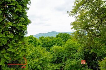 Prodej, pozemky/bydlení, 488 m2, Ke Stráni E262, 25281 Petro - 5