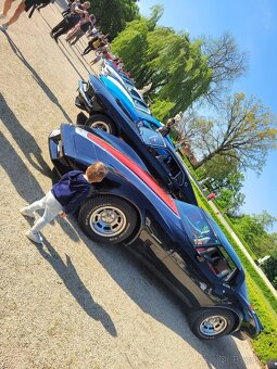 Chevrolet corvette c3 - 5
