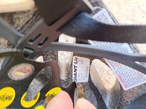 Helma Giant Rev Mips - 5