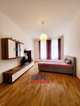 Pronájem zrekonstruovaného bytu 2+1 72 m2, České Budějovice - 5