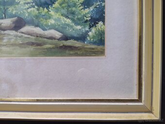 Obraz Akvarelová malba 55×45cm. signová - 5