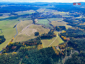 Prodej zemědělského pozemku 44621m2, Stráž u Tachova - 5