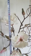 Váza s magnolií, umělá květina - 5