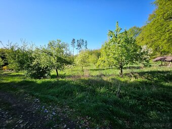 Prodej zahrady 3670m2 nedaleko Litoměřic - 5