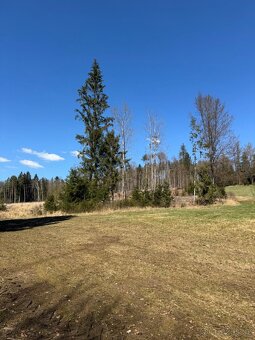 Prodám pozemky v k.ú. Horní Bolíkov - 5