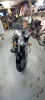 Kawasaki vn900 classic - 5