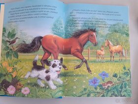 Dětské knihy, knihy pro děti - 5