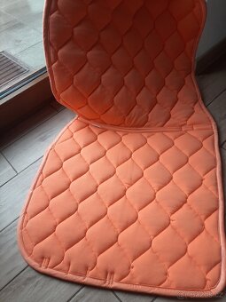 Eskadron oranzova sada - 5