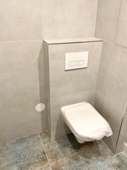 Pronajmu 2 + kk v Lounech - 5