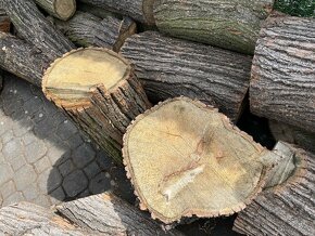 Dřevo z lípy - 5