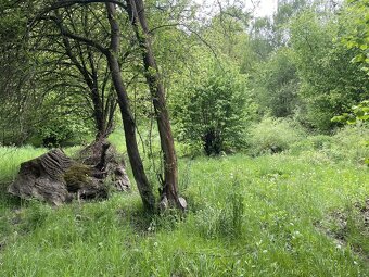 Prodej stavebního pozemeku o výměře 883 m2 ve Všenorech - 5