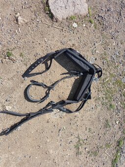 Postroj na pony kolem 100 kvh - 5