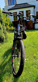 Elektrokolo HaiBike Trekking 9 - 5