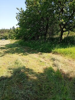 Zahrada u Loun, v obci Brodec, krásné okolí - 5