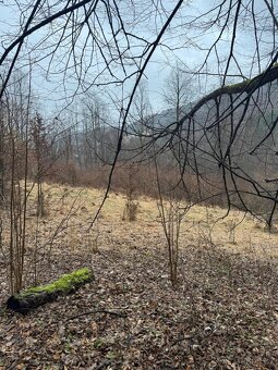 Prodej pozemků k.ú. Huslenky (2) - 5