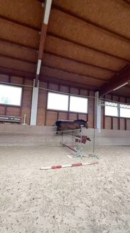 Pony B do sportu - 5