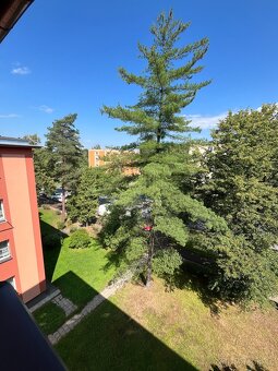 Prodej družstevního bytu 3+1 70,6 m² - 5