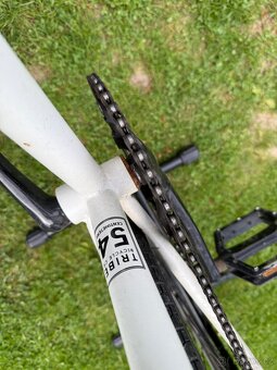 Prodám fixie/singlspeed kolo TRIBE - 5