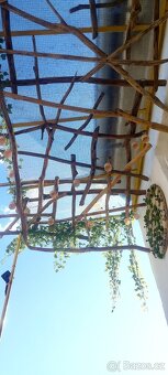 Okrasní strop z naplaveného dreva - 5