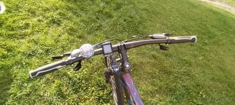 Horské kolo 4Ever - 5