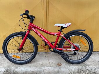 Superior Paint 20 dětské kolo 9,5kg  s páčkovým řazením - 5