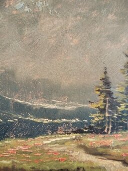 obraz HORSKÁ LOUKA, olej, sign. Trinkmoc - 5