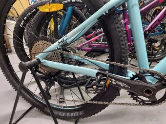 Amulet night cat 4.0. - 5