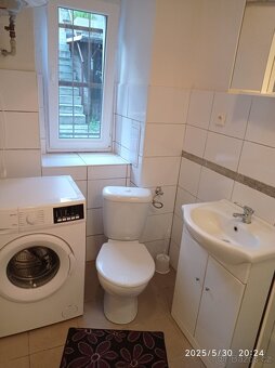 BEZ PROVIZE RK. Pronajmu 1kk 25 Praha Vršovice - 5