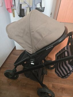 Neonatopuro - 5