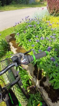 Fatbike - 5