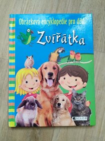 Balíček knih, Disney, Frozen,Locika, Disney princezny - 5