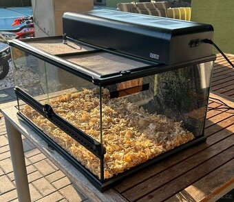 Terárium Exo Terra 60x45x30cm vč. osvětlení EXO TERRA Compac - 5