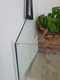 Terárium - 5