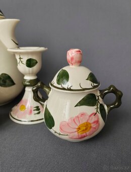 Okouzlující porcelánová sada od Villeroy & Boch "Wild rose - 5