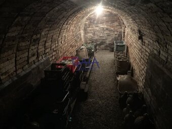 Krumvíř - Prodej vinného sklepa s menší zahrádkou - 62m2 - 5