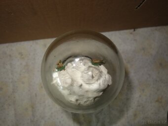 Panna Maria Lurdská - 5