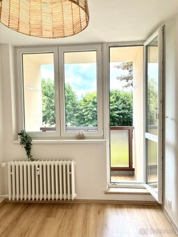 Pronájem bytu 2+kk v ulici J. A. Komenského 317 v Meziboří - 5