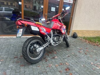 Kawasaki KLR 650 - 5