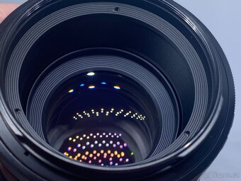 Minolta AF Macro 100mm f/2.8 - 5