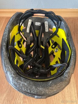 Helma Specialized - 5