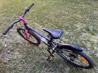 Author Cosmic 20” - 5