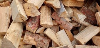 Palivové dřevo měkké - 5