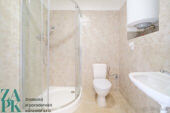 Pronájem bytu 1+1, Střekov, Ústí nad Labem, ev.č. 00841 - 5